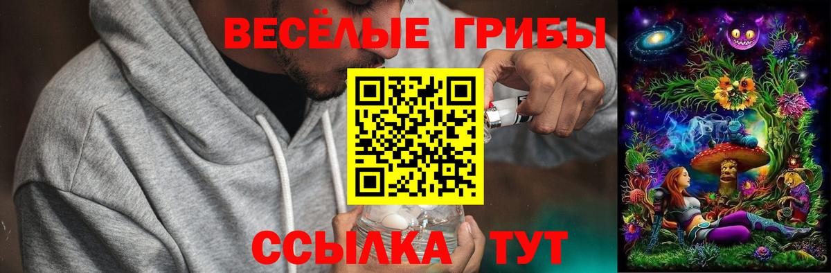 Псилоцибиновые грибы прущие грибы  хочу наркоту  Тельмана  Псилоцибиновые грибы Psilocybe  Вход с VPN 